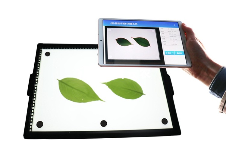 智能葉面積測(cè)量系統(tǒng)YMJ-CHA3