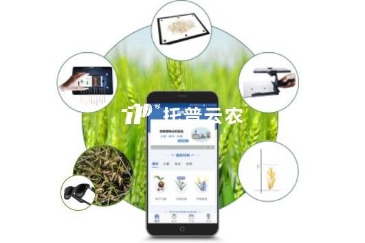 小麥表型檢測系統(tǒng)