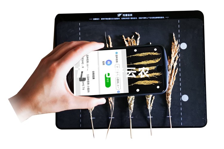 稻穗形態(tài)測(cè)量?jī)x