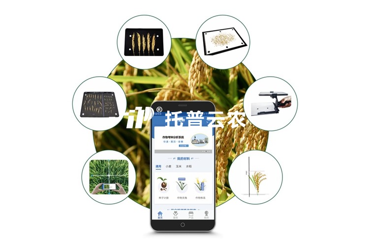 水稻表型檢測系統(tǒng)