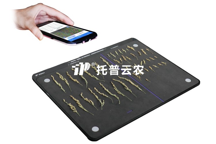水稻整穗考種測(cè)量系統(tǒng)