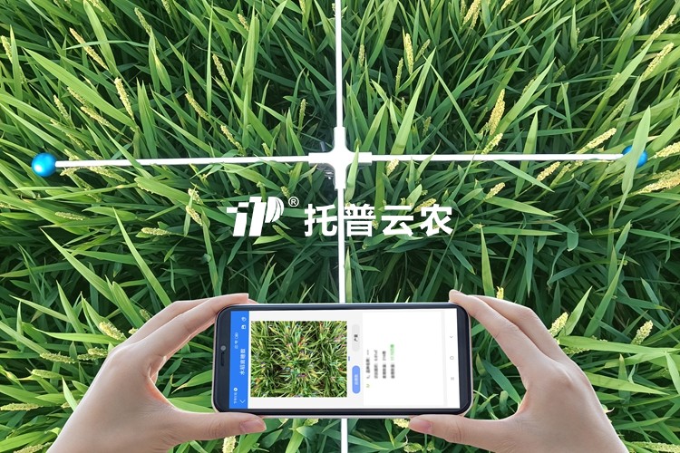 水稻畝穗數(shù)測(cè)量系統(tǒng)