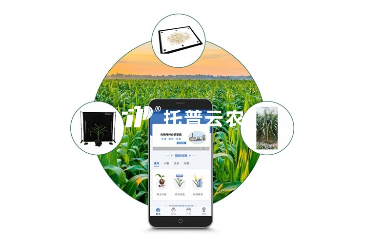 玉米表型檢測(cè)系統(tǒng)