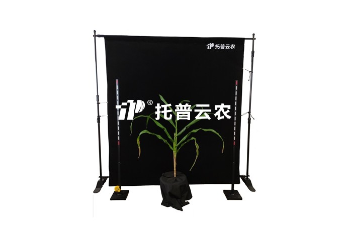 玉米株型分析系統(tǒng)