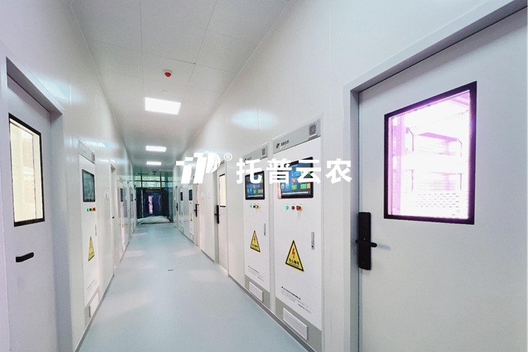 智能人工氣候室